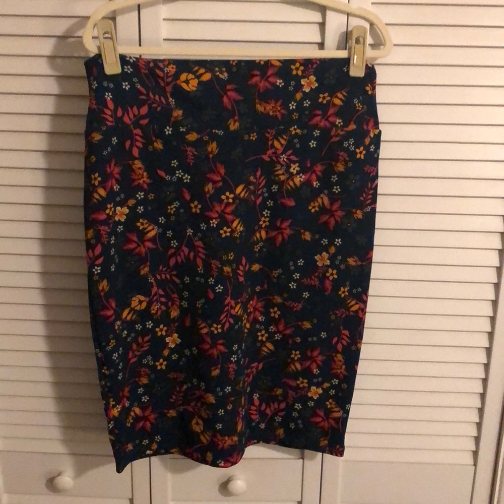 New Fall Large Lularoe Cassie skirt